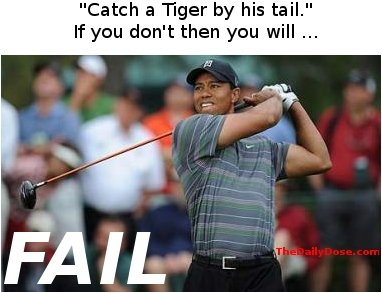 Catch a Tiger 
by his tail. If you don't then you will ... FAIL. thedailydose.harari.org .