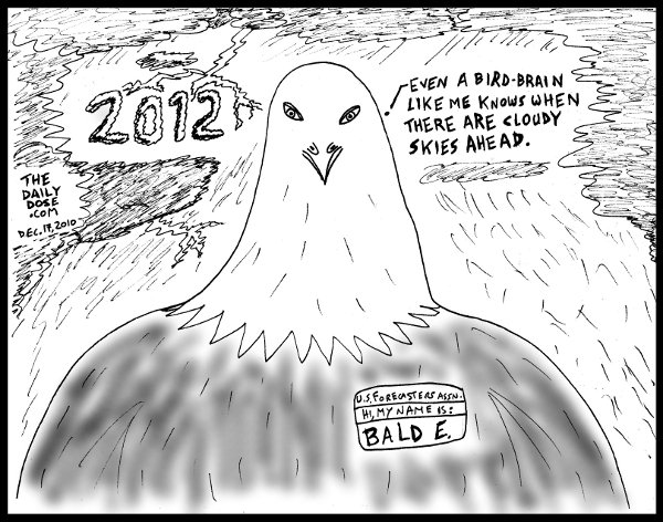 background: Cloudy skies and thunderstorms, with 2012 displayed as dark clouds. foreground: Bald Eagle saying: Even a bird brain like me knows when there are cloudy 
skies ahead. the eagle wears a badge saying: US Forecasters Assn. Hi, my name is: BALD E. from thedailydose.harari.org