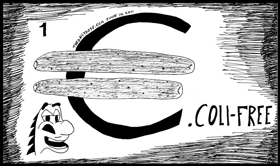 cartoon panel of the euro eu e. coli outbreak and the innocent cucumber 
scapegoat line drawing art ink on paper 2011 june 10 , from laughzilla for thedailydose.harari.org