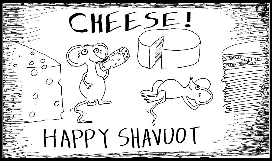 cartoon panel of mice eating cheese on the jewish holiday of shavuot 
satire line drawing art ink on paper 2011 june 8 , from laughzilla for thedailydose.harari.org