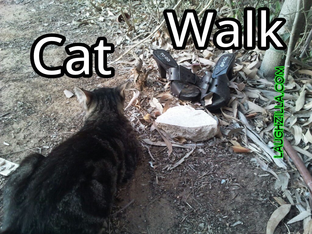 cartoon and comic strip images by laughzilla